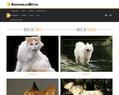 237757 : Adorables Bêtes - Toutes les informations sur vos animaux préférés