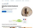 249267 : Détection Canine Paris - Détection Punaise De Lit