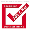 Référencement Express 100 sites