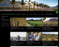 6785 : Vins d'Afrique du Sud - Continent du Vin - Boutique en ligne - Vente de vins fins sud-africains