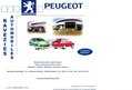 13249 : Ravezies Automobiles - Agent Peugeot