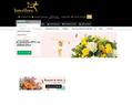 16133 : Interflora :LES HORTENSIAS, HEMERY