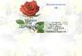 16157 : Fleuriste Bretagne Morbihan, Nature et Compagnie bouquets, fleurs,compositions florales, Sarzeau