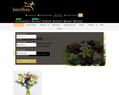 16656 : Interflora :FLEURS DE FRANCE BACONNIER