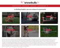 100725 : Snowbulls élevage de bulldogs anglais, éleveur de bouledogues anglais