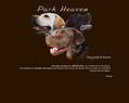 116960 : Bienvenue l’élevage de labrador Park heaven