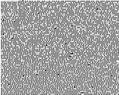 118847 : Pierre Heitmann .Biz