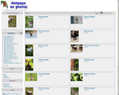 124645 : Animaux en photos