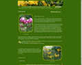 131009 : CATALOGUE-BULBES.FR | Catalogue de bulbes, plantes et végétaux : Lis, Tulipes, Narcisses, Crocus, Iris, Pivoines, Blétillas, Arums, Pleiones, ... Bulbes à naturaliser | Laurent Lieser Floriculteur (Florac-Cévennes-Lozère)