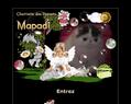 132627 : Chatterie des Persans Mapadi - Persans & Exotic Shorthair