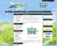 133361 : Absolute-pc.fr - Le depannage informatique en camargue