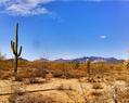 134563 : Far West de l'Omois