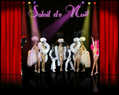 135108 : Soleil de Nuit Production-Cabaret, spectacles de danse, musique, revue, show, music hall, chorégraphie, sensualité, à Narbonne dans l'aude