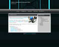 140247 : Developpeur web php flash Dijon