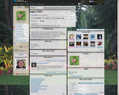 143115 : Profil de papy17000