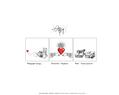 148685 : Abyweb - Le site d'Aby - Illustratrice - Graphiste - Photographe