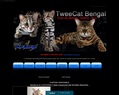 149364 : chatterie TweeCat élevage de chat de race Bengal - cat