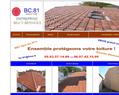 151249 :  bc.81, BC.81, nettoyage toiture, demoussage toit, hydrofuge, résine, peinture