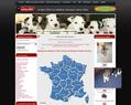 162524 : le bon chiot