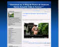 165040 : Le blog de photosdevacances.fr