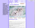 172998 : L ile aux Bichons 