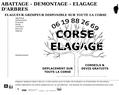 197241 : ABATTAGE - DEMONTAGE - ELAGAGE D'ARBRES EN CORSE