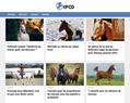 200590 : Débourrage de chevaux en Bretagne