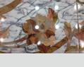 201992 : Marbrazur Ponçage de marbre-Traitement-Rénovation dans le Var 83520 Cote d'Azur