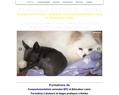 207582 : Educateur canin et comportementaliste animalier - CEEPHAO