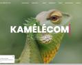 239366 : KameleCom : votre spécialiste en communication et marketing dans la région lilloise