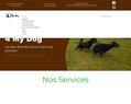 244351 : Service de garde de chien à Epernay près de Reims 4 My Dog