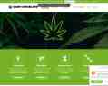 253539 : Graine-Cannabis.info