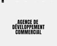254253 : Agence de développement commercial et marketing