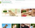 255155 : Les accessoires pour animaux de Passionimaux59 - Tout pour le bien-être de votre chien et chat