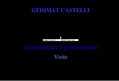 39080 : GEDIMAT-CASTELLI