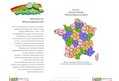 40642 : Moteur de recherche en régions - Moteurs-régionaux de France