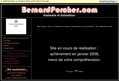 55238 : Bernard Porcher - Musiques traditionnelles