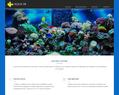 62031 : Aqua 38 - Installation et Entretien de vos Aquariums