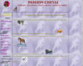 74997 : Cheval passion : wallpaper, fond d'écran, gifs, cliparts et conseils