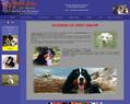79264 : Bouvier Bernois - Elevage de Bouvier Bernois - Chiot Bouvier Bernois : Le Crot Galop