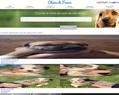 80743 : Skye terrier - élevage Ceridwen's