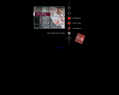 84099 : Salon Vice Versa - Coiffure et Esthetique - Chambery / Savoie