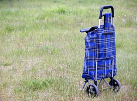 Chariot-de-courses : le guide pour choisir les meilleurs caddies pour faire vos courses