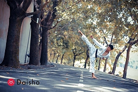 Daisho, vente d'équipements pour arts martiaux et sports de combat