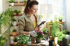 Monstera : une application mobile pour vous aider à vous occuper de vos plantes