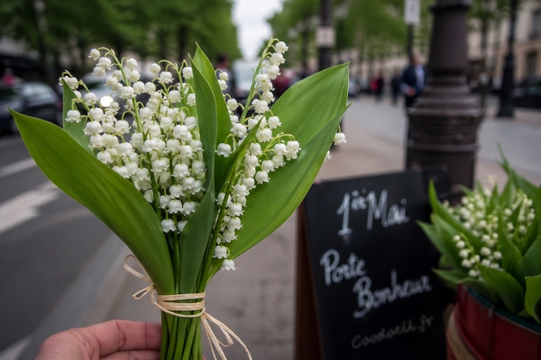 Main tenant un bouquet de muguet avec clochettes blanches et feuilles vertes, attach&eacute; avec une ficelle, devant un stand de rue affichant &ldquo;1er Mai &ndash; Porte Bonheur&rdquo; en arri&egrave;re-plan flou.
