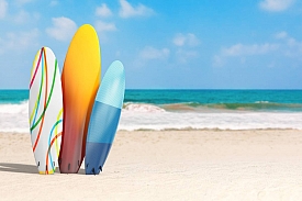 Walrus Surf Shop : vente de matériel de surf au Cap-Ferret