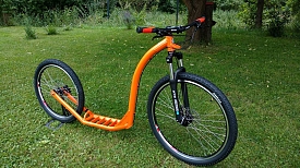 Canem Victoria : spécialiste du sport canin