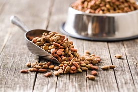 Essential Foods : des croquettes et des pâtés de qualité pour vos chats et chiens 