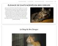 104002 : Chatterie de Bro Dreger